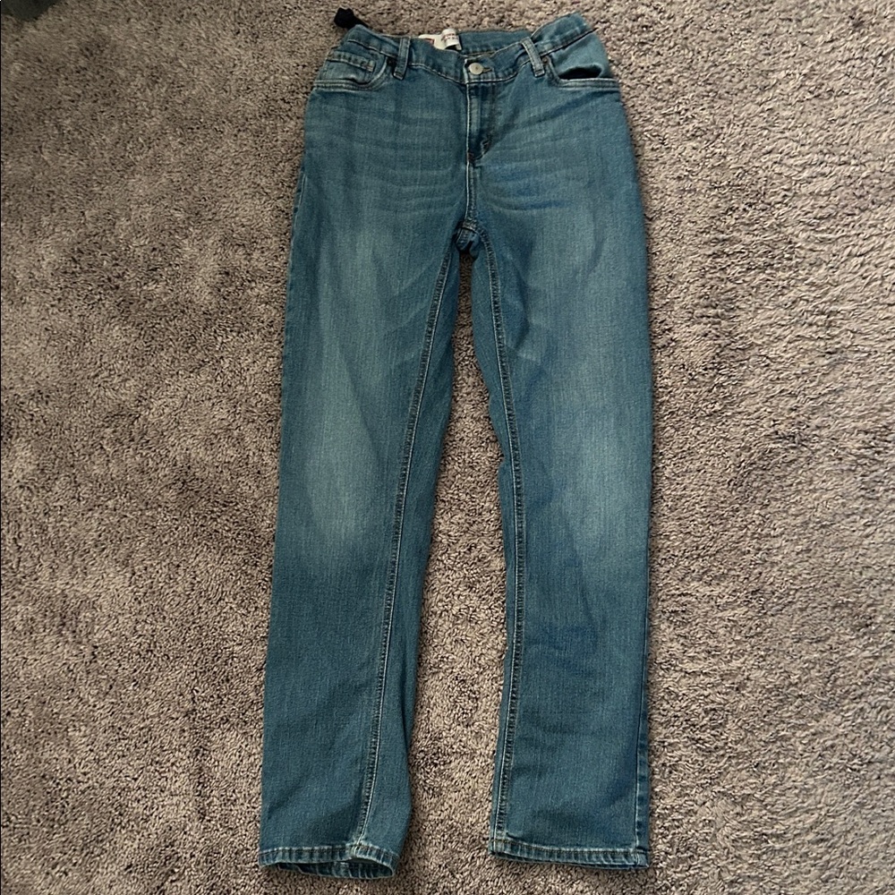 Levi's Men's Slim Jeans in Blue